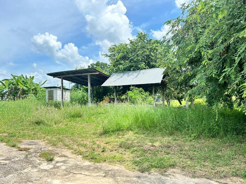 นอกโครงการมหาสารคาม, Maha Sarakham, Yang Tha Chang, Kosum Phisai, Maha Sarakham, 2 Bedrooms, 1,061 sqm, Single Detached House For Sale, by คุณแจม, 500116680 - DDproperty.com