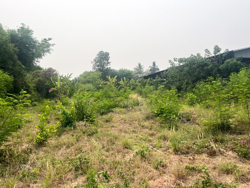 ขาย - ที่ดินบ้านจั่น อุดรธานี, อุดรธานี