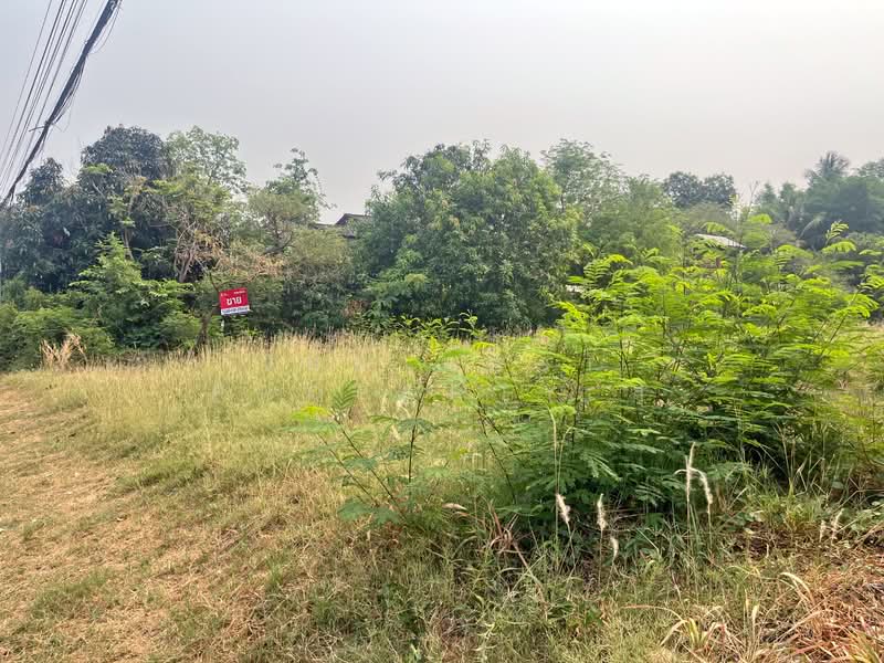 ขาย - ที่ดินบ้านจั่น อุดรธานี, อุดรธานี