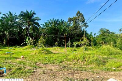 ขาย - DD-015029 ที่ดินสิชล 9 ไร่ 356 ตร.ว.นครศรีธรรมราช ใกล้หาดท่าหมาก, นครศรีธรรมราช