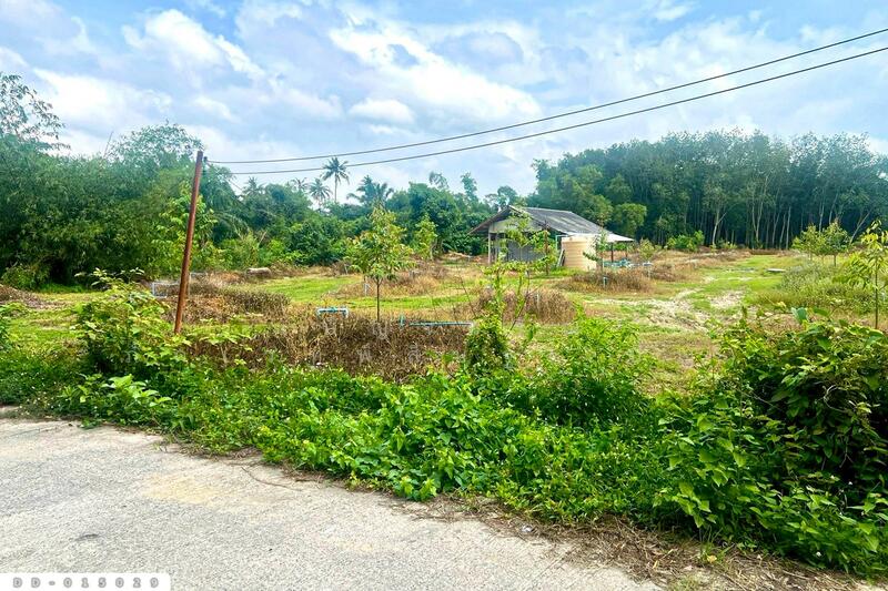 ขาย - DD-015029 ที่ดินสิชล 9 ไร่ 356 ตร.ว.นครศรีธรรมราช ใกล้หาดท่าหมาก, นครศรีธรรมราช