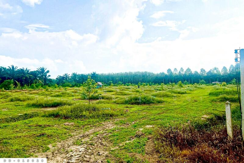 ขาย - DD-015029 ที่ดินสิชล 9 ไร่ 356 ตร.ว.นครศรีธรรมราช ใกล้หาดท่าหมาก, นครศรีธรรมราช