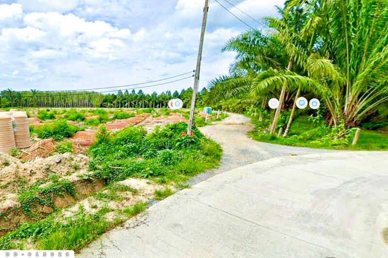 ขาย - DD-015029 ที่ดินสิชล 9 ไร่ 356 ตร.ว.นครศรีธรรมราช ใกล้หาดท่าหมาก, นครศรีธรรมราช