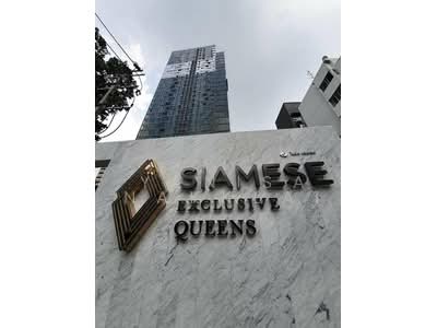 ขาย - Siamese Exclusive Queens, กรุงเทพ