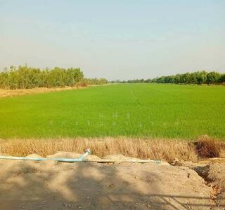 ขาย - ถ.รังสิต-นครนายก ต.บางปลากด อ.องครักษ์ จ.นครนายก, นครนายก