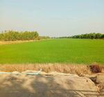 ถ.รังสิต-นครนายก ต.บางปลากด อ.องครักษ์ จ.นครนายก, นครนายก