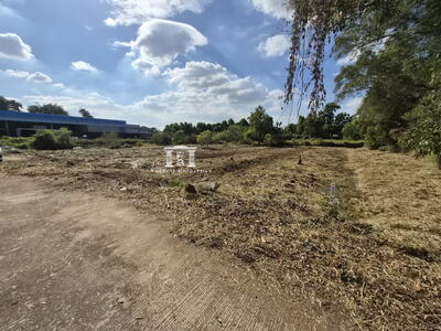 ขาย - ถนนติวานนท์, นนทบุรี