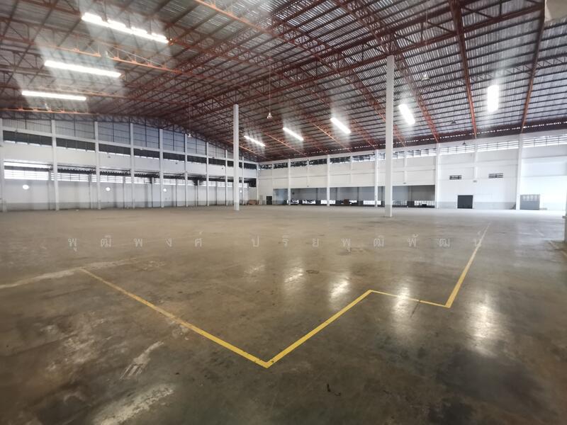ให้เช่าโกดัง คลังสินค้า 3,400 ตรม. บางเสาธง พื้นยกสูง ติดถนนเทพารักษ์, สมุทรปราการ, เทพารักษ์, บางเสาธง, สมุทรปราการ, 3,400 ตร.ม., โกดัง-โรงงาน ให้เช่า, โดย พุฒิพงศ์ ปริยพุฒิพัฒน์, 500118260 - DDproperty.com
