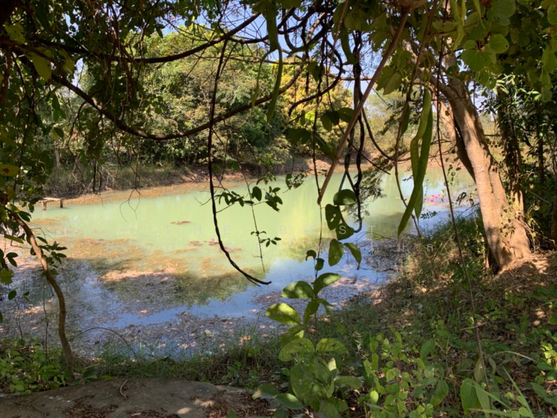 ขาย - ที่ดินโขงเจียม อุบลราชธานี, อุบลราชธานี
