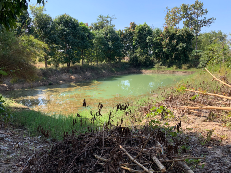 ขาย - ที่ดินโขงเจียม อุบลราชธานี, อุบลราชธานี