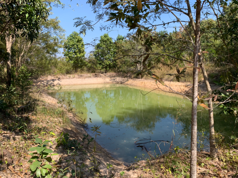 ขาย - ที่ดินโขงเจียม อุบลราชธานี, อุบลราชธานี