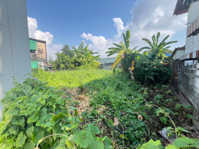 ขาย - ที่ดินปากน้ำ สมุทรปราการ, สมุทรปราการ