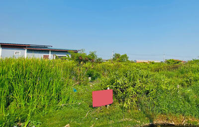 ขาย - ที่ดินบ้านบ่อ สมุทรสาคร, สมุทรสาคร