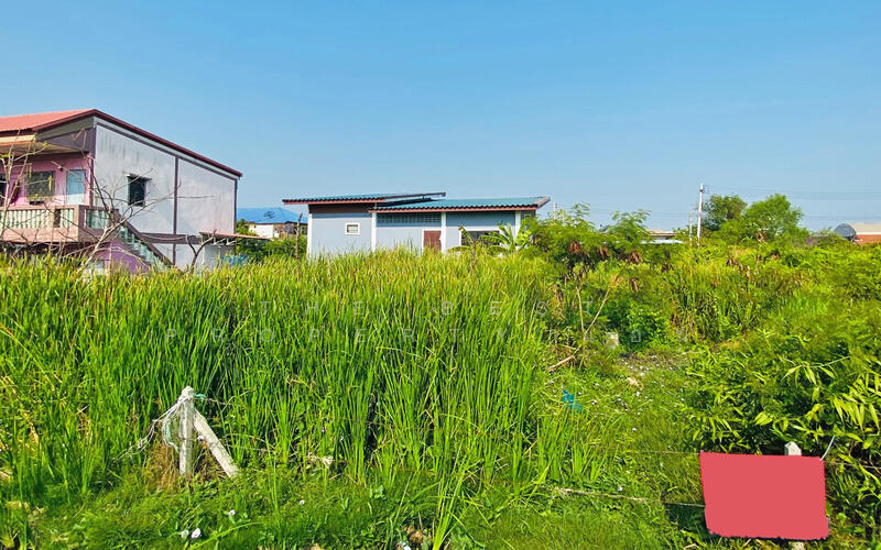 ที่ดินบ้านบ่อ สมุทรสาคร, Samut Sakhon, Ban Bo, Muang Samut Sakhon, Samut Sakhon, , 400 sqm, Land For Sale, by The Best Property แอน, 500119330 - DDproperty.com