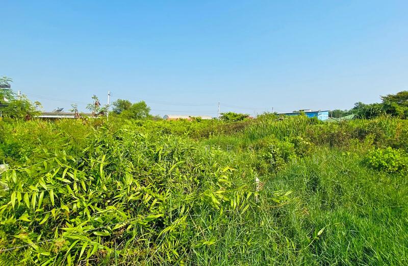 ที่ดินบ้านบ่อ สมุทรสาคร, Samut Sakhon, Ban Bo, Muang Samut Sakhon, Samut Sakhon, , 400 sqm, Land For Sale, by The Best Property แอน, 500119330 - DDproperty.com