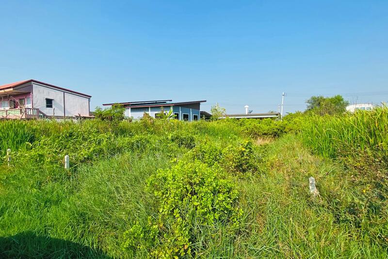 ที่ดินบ้านบ่อ สมุทรสาคร, สมุทรสาคร, บ้านบ่อ, เมืองสมุทรสาคร, สมุทรสาคร, 400 ตร.ม., ที่ดิน ขาย, โดย The Best Property แอน, 500119330 - DDproperty.com