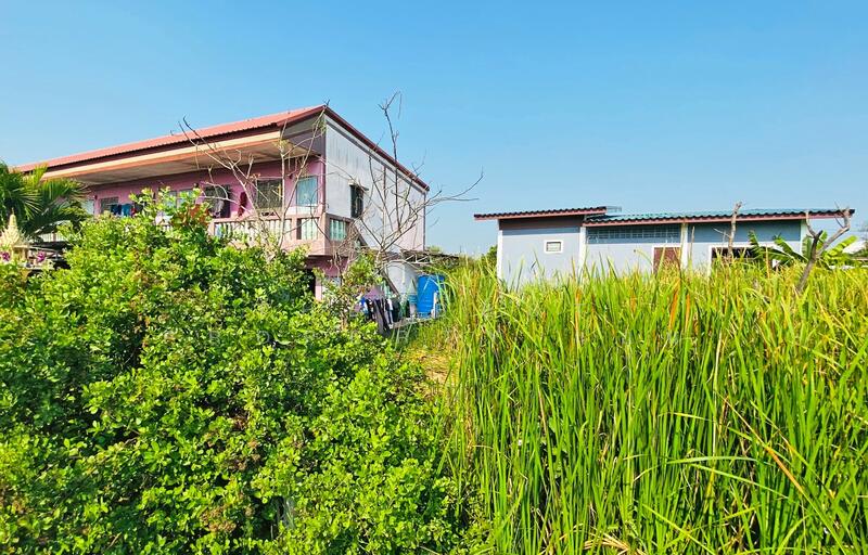 ที่ดินบ้านบ่อ สมุทรสาคร, Samut Sakhon, Ban Bo, Muang Samut Sakhon, Samut Sakhon, , 400 sqm, Land For Sale, by The Best Property แอน, 500119330 - DDproperty.com