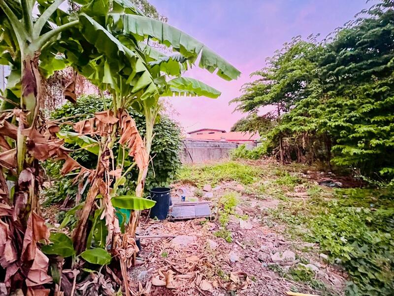 For Sale - ที่ดินปากน้ำ สมุทรปราการ, Samut Prakan