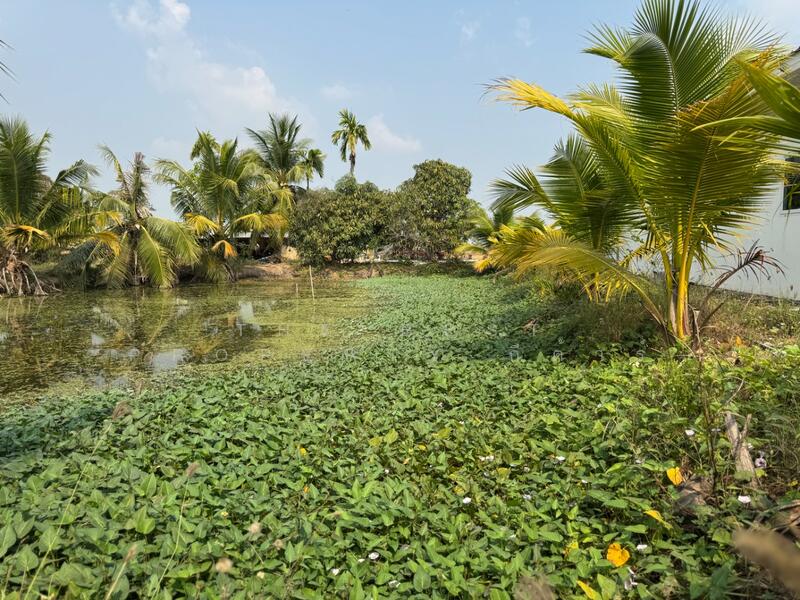 ที่ดินพร้อมสิ่งปลูกสร้าบางแก้ว ฉะเชิงเทรา, Chachoengsao, Bang Kaeo, Muang Chachoengsao, Chachoengsao, , 1,600 sqm, Land For Sale, by The Best Property กีต้าร์, 500119491 - DDproperty.com