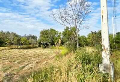 ขาย - ที่ดินท่าสว่าง สุรินทร์, สุรินทร์