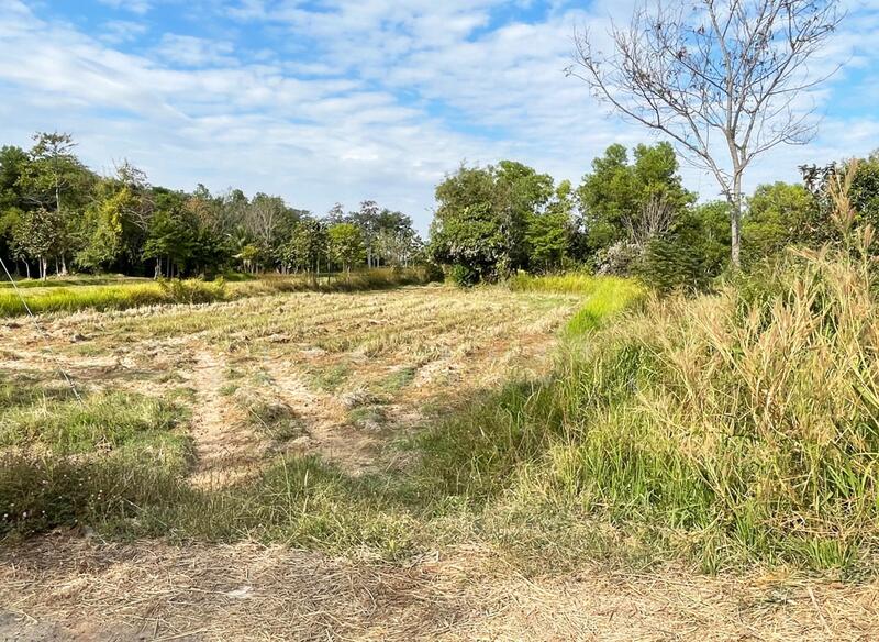 ที่ดินท่าสว่าง สุรินทร์, Surin, Ta Sawang, Muang Surin, Surin, , 5,100 sqm, Land For Sale, by The Best Property ยุ, 500119551 - DDproperty.com