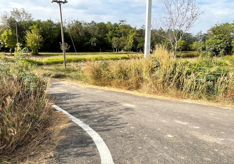 ที่ดินท่าสว่าง สุรินทร์, Surin, Ta Sawang, Muang Surin, Surin, , 5,100 sqm, Land For Sale, by The Best Property ยุ, 500119551 - DDproperty.com