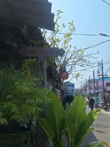 ขาย - การเคหะสมุทรปราการ เทศบาลบางปู49, สมุทรปราการ