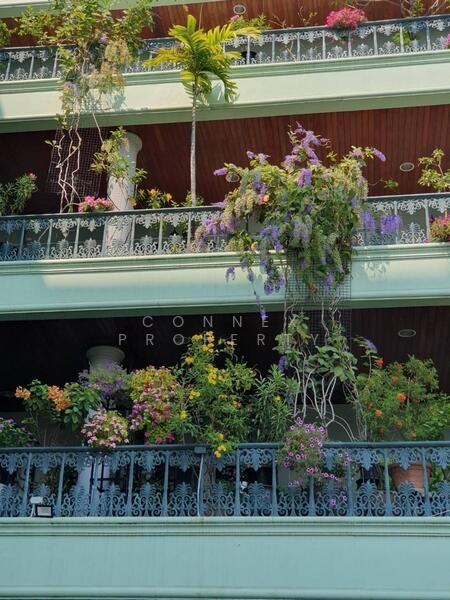 5 story house with land 2,300 square meters of usable space Hua Mak Bang Kapi Bangkok, Bangkok, รามคำแหง, Hua Mak, Bang Kapi, Bangkok, 10+ Bedrooms, 23,000 sqm, Single Detached House For Sale, by Connex Property, 500119697 - DDproperty.com