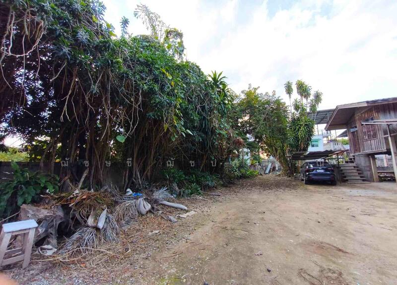 ขาย - ที่ดิน 1 ไร่ 41 ตรว. ทำเลศักยภาพ วิวริมแม่น้ำโขง ตัวเมืองเชียงแสน, เชียงราย