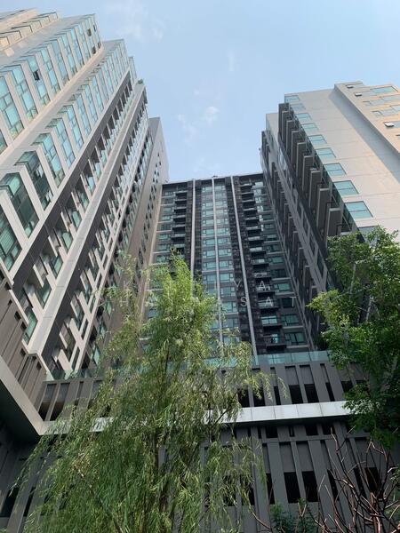 Rhythm Sukhumvit 36-38 : ริทึ่ม สุขุมวิท 36-38, กรุงเทพ, 55 ซอยสุขุมวิท 36 ถนนสุขุมวิท, พระโขนง, คลองเตย, กรุงเทพ, 24 ตร.ม., คอนโด ขาย, โดย Kittiya Chaiyasat, 500119897 - DDproperty.com