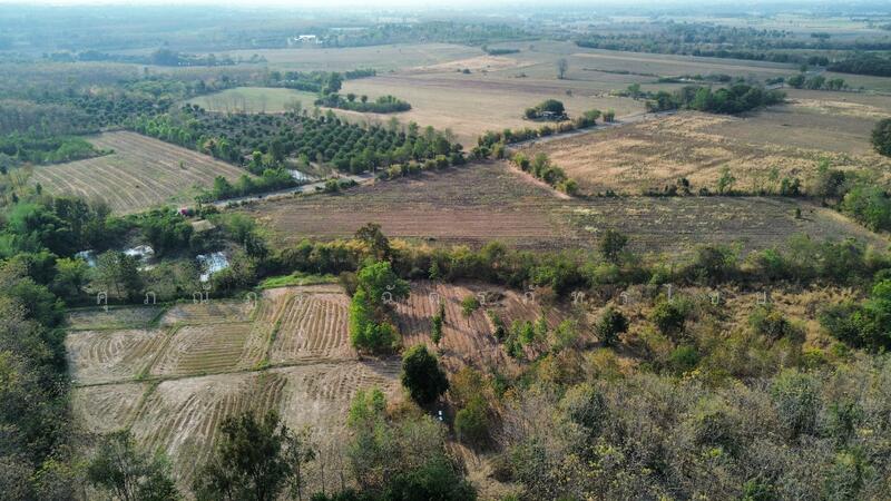 ขาย - ที่ดินวิวภูเขา อำเภอเมือง จังหวัดเพชรบูรณ์, เพชรบูรณ์