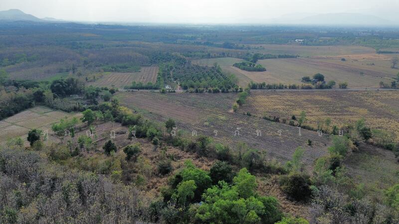 ขาย - ที่ดินวิวภูเขา อำเภอเมือง จังหวัดเพชรบูรณ์, เพชรบูรณ์