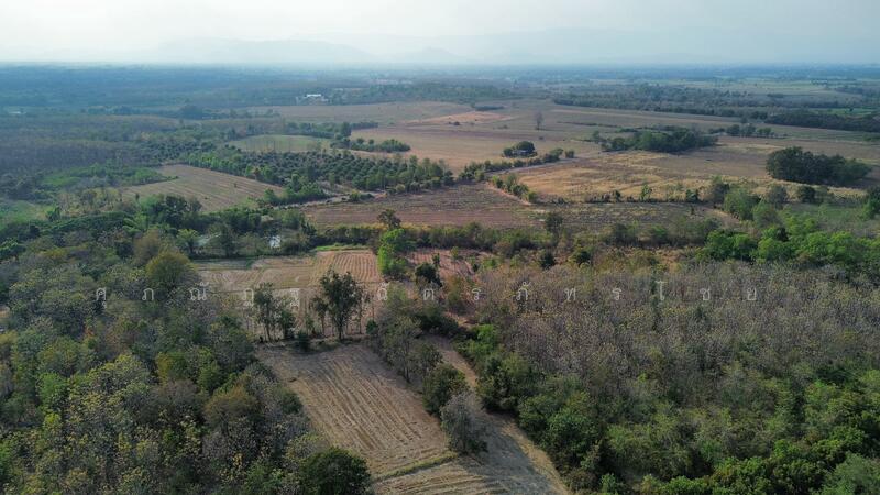 ขาย - ที่ดินวิวภูเขา อำเภอเมือง จังหวัดเพชรบูรณ์, เพชรบูรณ์