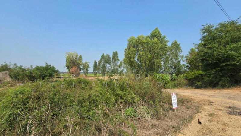 ขาย - ติดคลองชลประทานเพื่อการเกษตร, ลพบุรี