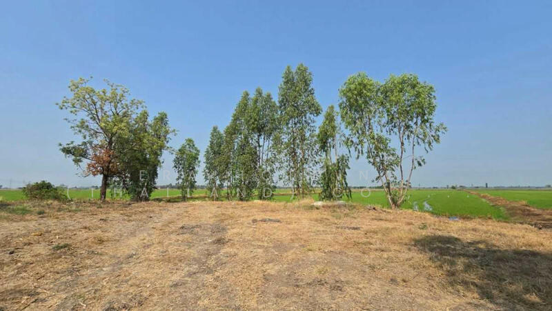 ขาย - ติดคลองชลประทานเพื่อการเกษตร, ลพบุรี