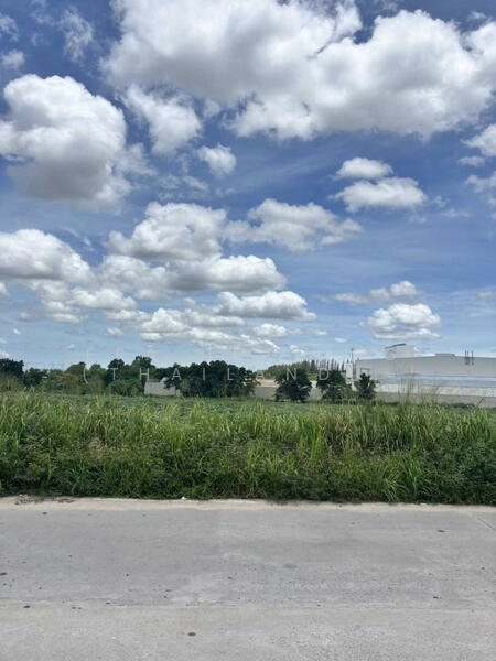 For Sale - ผังม่วงลาย ทำเลอุตสาหกรรม, Rayong