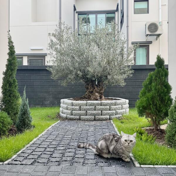 Vivaldi Bangna, Samut Prakan, 888 13, Bang Kaeo, Bang Plee, Samut Prakan, 4 Bedrooms, 285 sqm, Single Detached House For Sale, by คุณลี, 500120279 - DDproperty.com