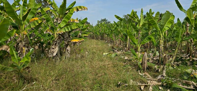 ขายที่ดินติดบายพาส ใกล้ไดนาสตี้ไทล์ท้อป สวรรคโลก, สุโขทัย, ย่านยาว, สวรรคโลก, สุโขทัย, 8,016 ตร.ม., ที่ดิน ขาย, โดย PortLand Property, 500120659 - DDproperty.com