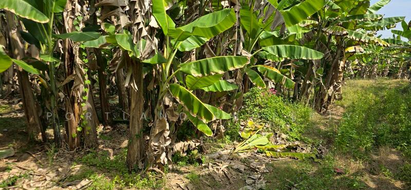 ขายที่ดินติดบายพาส ใกล้ไดนาสตี้ไทล์ท้อป สวรรคโลก, Sukhothai, Yan Yao, Sawankhalok, Sukhothai, , 8,016 sqm, Land For Sale, by PortLand Property, 500120659 - DDproperty.com