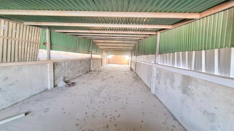 อาคารพาณิชย์ ถ.เทวาภิบาล3, Roi Et, Nai Muang, Muang Roi Et, Roi Et, , 150 sqm, Shophouse For Sale, by The Best Property ทองใบ, 500120727 - DDproperty.com