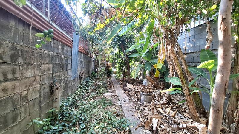 อาคารพาณิชย์ ถ.เทวาภิบาล3, ร้อยเอ็ด, ในเมือง, เมืองร้อยเอ็ด, ร้อยเอ็ด, 150 ตร.ม., ตึกแถว-อาคารพาณิชย์ ขาย, โดย The Best Property ทองใบ, 500120727 - DDproperty.com