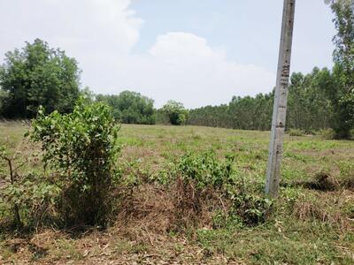 ขาย - ที่ดินนาดี ปราจีนบุรี, ปราจีนบุรี