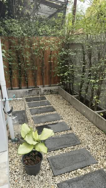 Leo Classic Place Sukhumvit 49, Bangkok, Khlong Tan Nua, Watthana, Bangkok, 3 Bedrooms, 250 sqm, Townhouse For Rent, by LINE @firststep, 500120780 - DDproperty.com