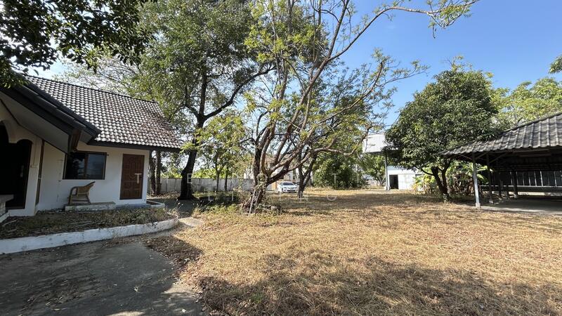 ให้เช่า - ที่ดินพร้อมสิ่งปลูกสร้าง 2-3-35 ไร่ ติดวงแหวนรอบ 2, เชียงใหม่