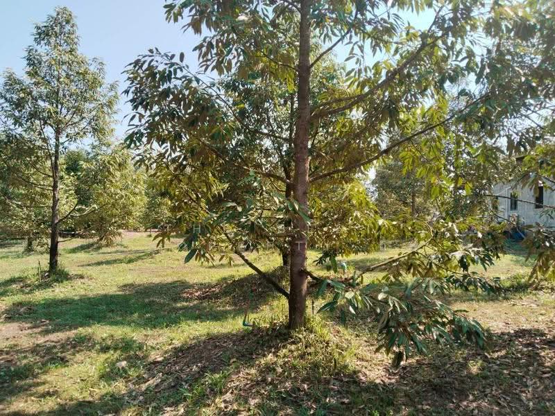 ที่ดินท่าใหม่ จันทบุรี, chanthaburi, Thung Bencha, Tha Mai, Chanthaburi, , 4,300 sqm, Land For Sale, by The Best Property อีฟ, 500121010 - DDproperty.com