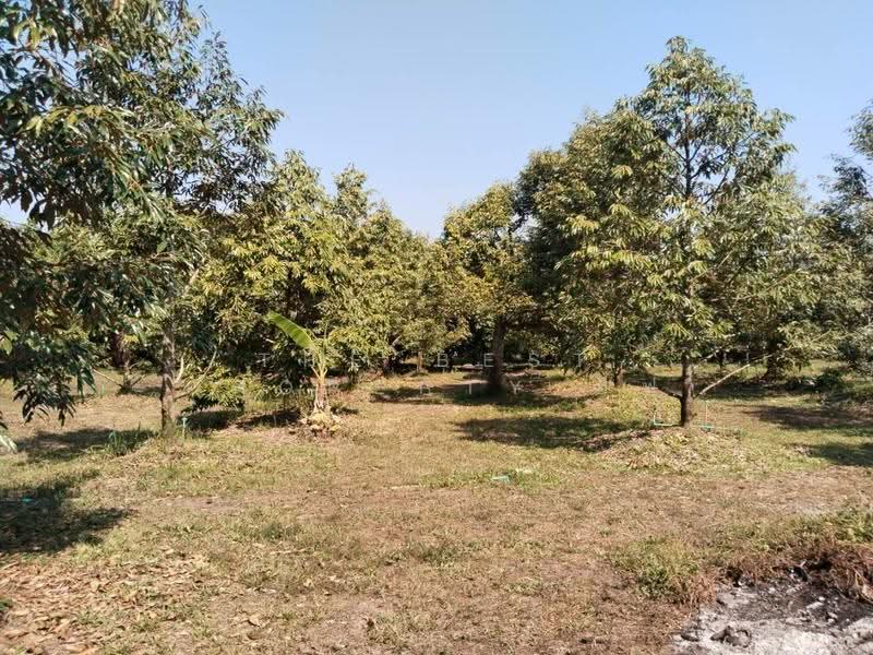 ที่ดินท่าใหม่ จันทบุรี, จันทบุรี, ทุ่งเบญจา, ท่าใหม่, จันทบุรี, 4,300 ตร.ม., ที่ดิน ขาย, โดย The Best Property อีฟ, 500121010 - DDproperty.com