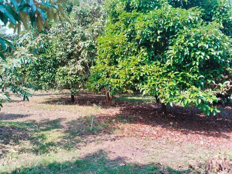 ที่ดินท่าใหม่ จันทบุรี, จันทบุรี, ทุ่งเบญจา, ท่าใหม่, จันทบุรี, 4,300 ตร.ม., ที่ดิน ขาย, โดย The Best Property อีฟ, 500121010 - DDproperty.com