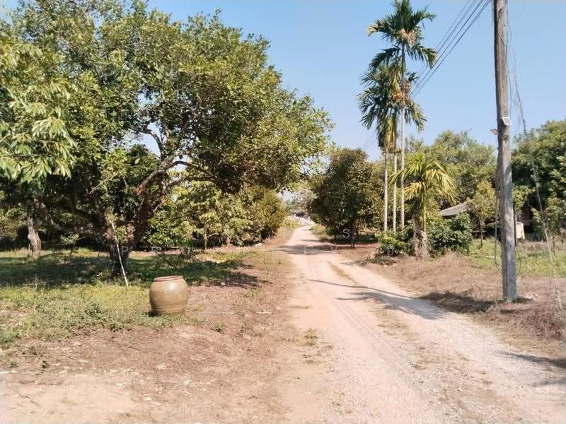 ที่ดินท่าใหม่ จันทบุรี, chanthaburi, Thung Bencha, Tha Mai, Chanthaburi, , 4,300 sqm, Land For Sale, by The Best Property อีฟ, 500121010 - DDproperty.com