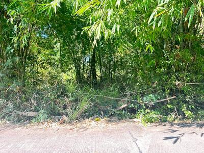 ขาย - ที่ดินมหาสารคาม, มหาสารคาม