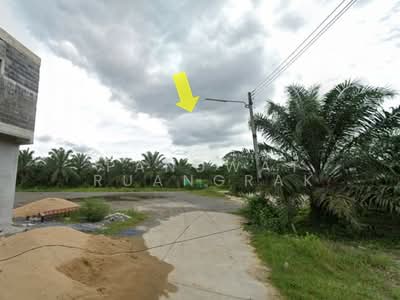 ขาย - กาญจนดิษฐ์ สี่แยกพ่วง, สุราษฎร์ธานี